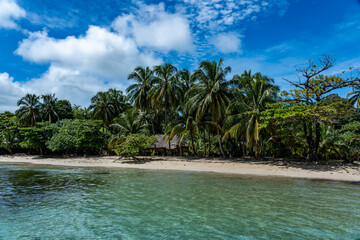 Tropical Beach Paradise with Palm Trees and Rocky Coastline in the caribbean Islands, Featuring Stunning Ocean Views, Sandy Shores, and Lush Island Landscapes, Perfect for Travel and Vacation Getaways