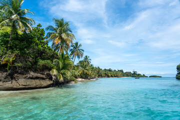 Tropical Beach Paradise with Palm Trees and Rocky Coastline in the caribbean Islands, Featuring Stunning Ocean Views, Sandy Shores, and Lush Island Landscapes, Perfect for Travel and Vacation Getaways