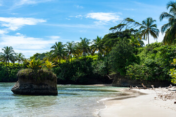 Obraz premium Tropical Beach Paradise with Palm Trees and Rocky Coastline in the caribbean Islands, Featuring Stunning Ocean Views, Sandy Shores, and Lush Island Landscapes, Perfect for Travel and Vacation Getaways