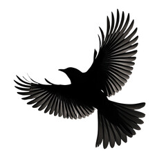 Obraz premium eagle with wings , bird silhouette 