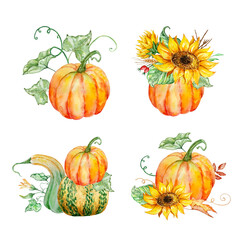 Watercolor pumpkins and foliage illustration set
