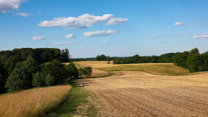 Natural Lands ChesLen Preserve in summer, near West Chester in the Philadelphia suburb, Pennsylvania