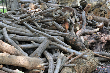 Pile of cut tree trunks and branches arranged together in fore stacked, dried tree branches piled...