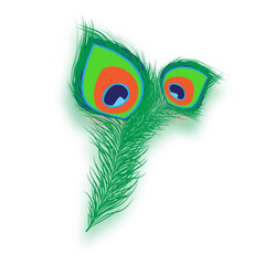 Obraz premium Vector illustration of peacock feather on transparent background