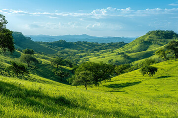 Obraz premium Stunning elevated terrain with lush green hills, scattered trees, and a clear blue sky in the background.