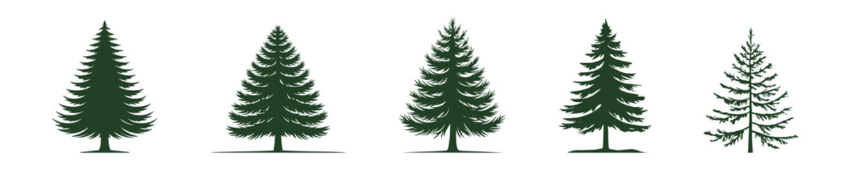 Set of different types and shapes of pine trees isolated on transparent background.