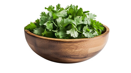 Fototapeta premium Green cilantro leaves in wooden bowl on transparent background