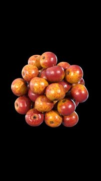 Realistic render of red apple expanding to more apples on transparent background,  alpha channel included 
