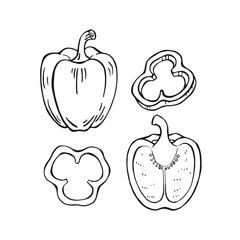 Set of pepper. Hand drawn vector illustration in outline style.