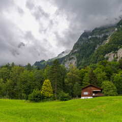 Holiday house on steep slope and rocky mountain in background. Cabin on green pasture and edge of forest with single tree in Rhein valley under Alpstein. peak with cloud hut, interesting cloudy day