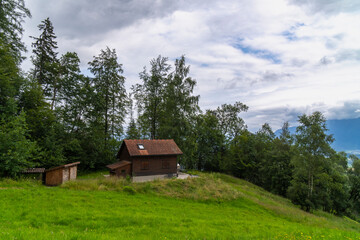 Holiday house on steep slope and rocky mountain in background. Cabin on green pasture and edge of forest with single tree in Rhein valley under Alpstein. peak with cloud hut, interesting cloudy day