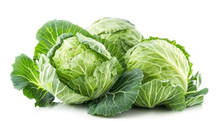 Obraz premium cabbage isolated on white background, full depth of field