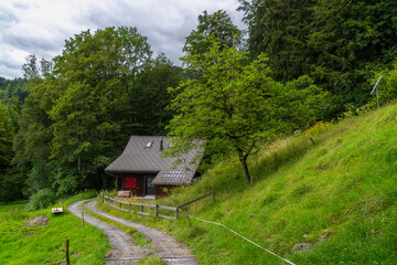 Holiday house on steep slope and rocky mountain in background. Cabin on green pasture and edge of forest with single tree in Rhein valley under Alpstein. peak with cloud hut, interesting cloudy day