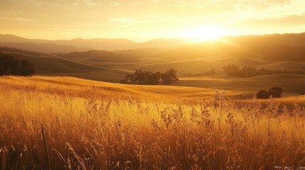 Sunset over hilly landscape, golden light of sunset, meadow in foreground