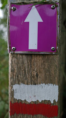 Two markers on a post next to a path. A white arrow on a purple background for a local hiking trail and red and white stripes for a long-distance hike