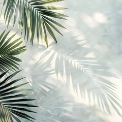 Obraz premium Tropical Palm Leaves Shadow On White Wall Background