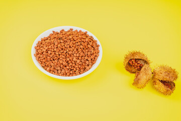 Close up of the red fruits of an achiote tree
