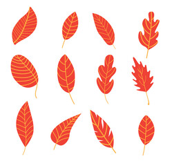 Autumn Leaves Vector Illustration.