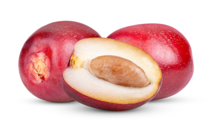 red raw date palm isolated on transparent png