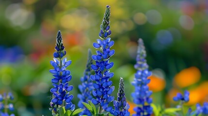 Obraz premium Blue the season green wildflowers growing in the garden