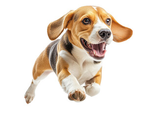 A joyful beagle dog leaping in mid-air, showcasing its playful spirit and energy. Perfect for animal and pet themes.