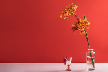 Glass shot glass with red currant and vase with orange daylily flower on red background.