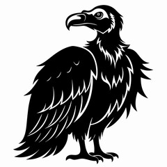 Vulture Black silhouette