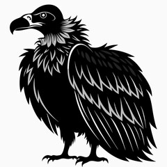 Vulture Black silhouette