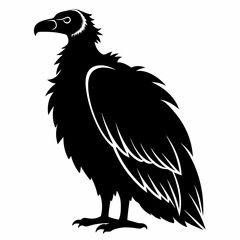 Fototapeta premium Vulture Black silhouette