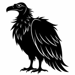 Vulture Black silhouette