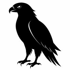 Hawk Black silhouette