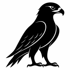 Hawk Black silhouette