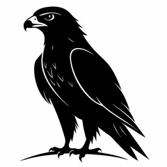 Hawk Black silhouette