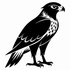 Hawk Black silhouette