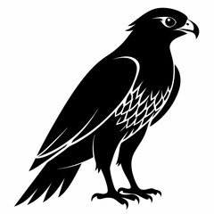 Fototapeta premium Hawk Black silhouette