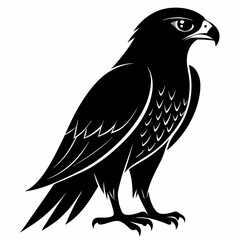 Hawk Black silhouette