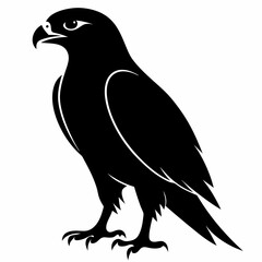 Hawk Black silhouette