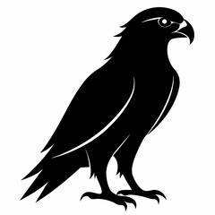 Hawk Black silhouette