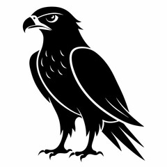 Hawk Black silhouette