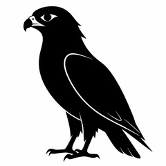 Obraz premium Hawk Black silhouette