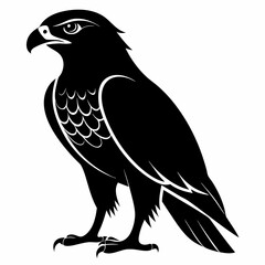 Hawk Black silhouette