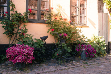 Danish summer