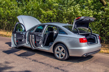 A gray car with all doors open stands on the road against a background of green trees	
