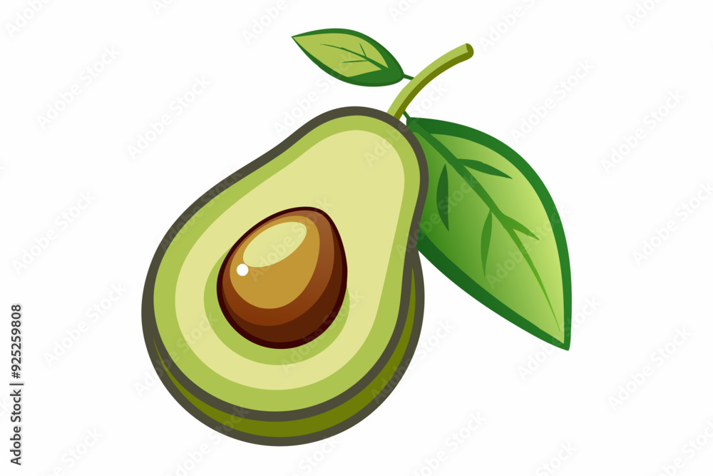 Poster Avocado vector isolated on white backgroud