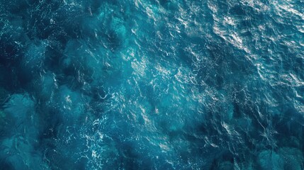 Fototapeta premium Underwater Ocean Scene
