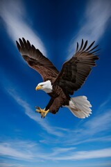 Obraz premium Bald Eagle Flying in Blue Sky, Real Photo, Pattern Background, Wallpaper, Cover and Screen for Smartphone, Cell Phone, Computer, Laptop