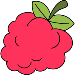 Raspberry