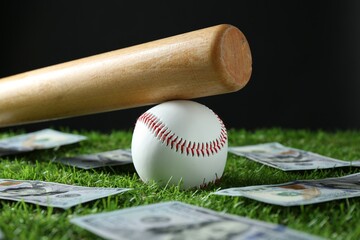 Baseball ball, bat and dollar banknotes on green grass, closeup