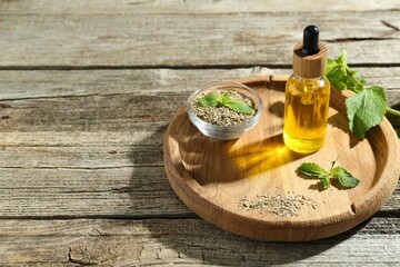 Tincture in bottle and herbs on wooden table, space for text