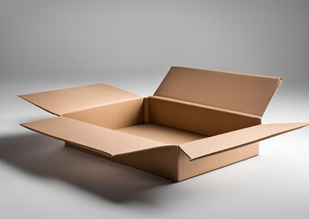 Open cardboard box on white light background